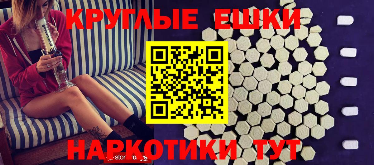 ЭКСТАЗИ Philipp Plein  Вход с VPN  Ecstasy  Курчалой  Ecstasy круглые 
