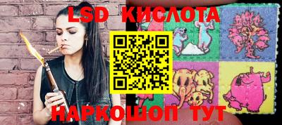 шишки Бузулук
