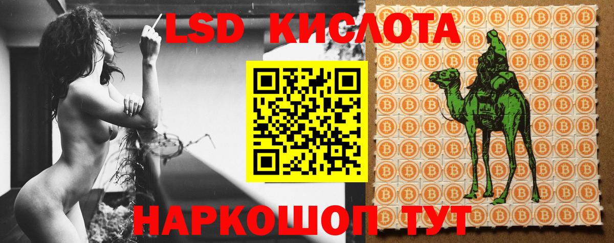 MEGA вход  Вход с VPN  Лсд 25 экстази ecstasy  Курчалой  LSD-25 экстази кислота 